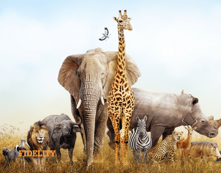 Stay at Disney Animal Kingdom