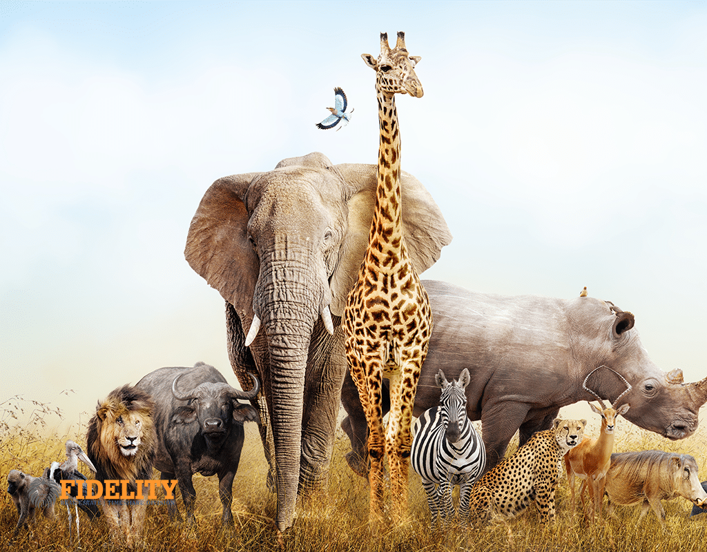 Stay at Disney Animal Kingdom