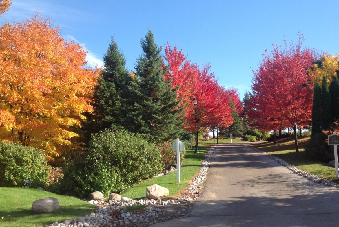 Carriage Hills Resort Outside