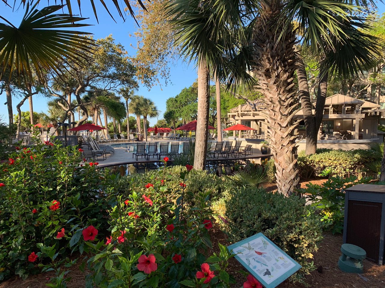 Marriott's Monarch at Sea Pines Pool Area