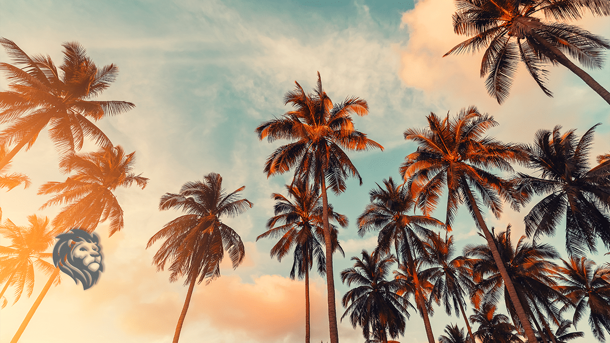 California Beaches and Timeshares