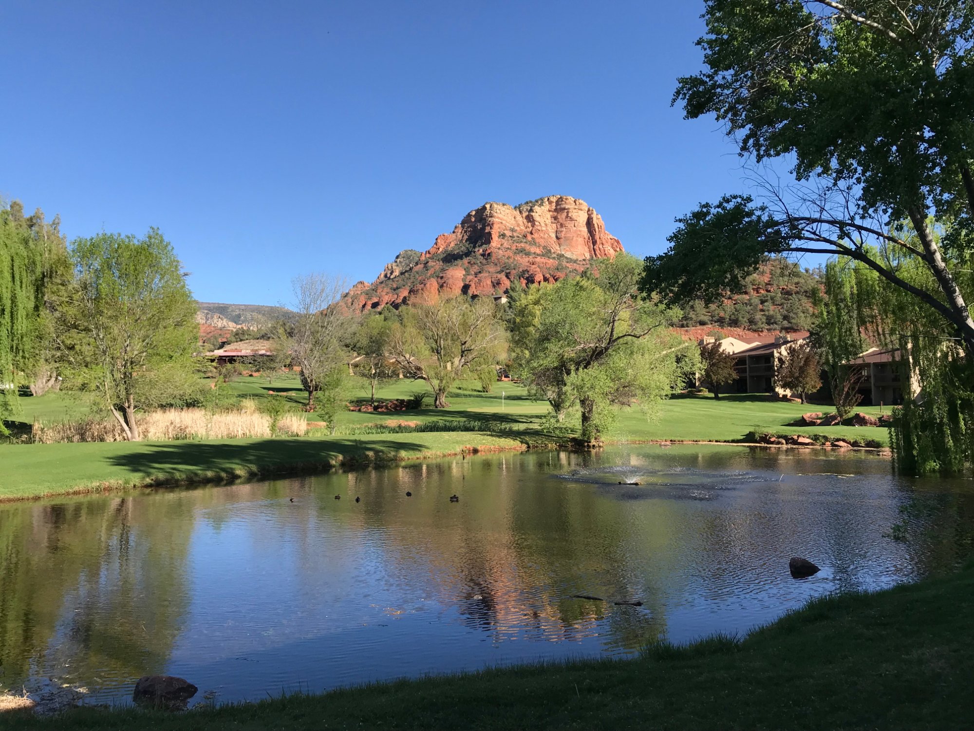 vacation internationale