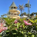 How Does Disney Vacation Club Work?