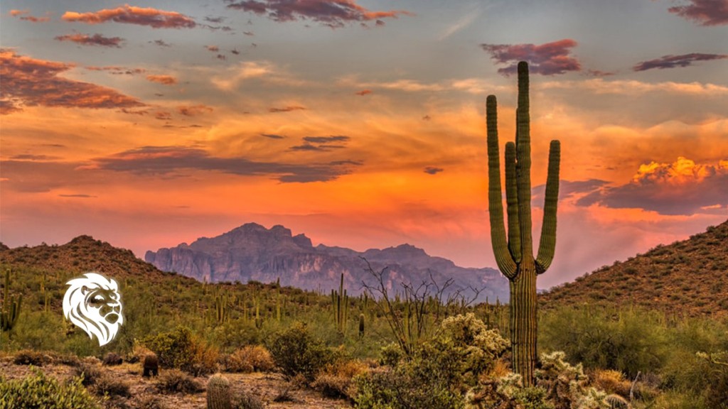 Things To Do In Arizona