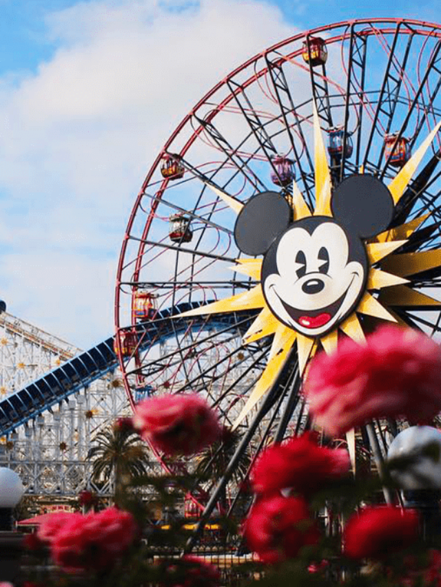 Anaheim, California Theme Park