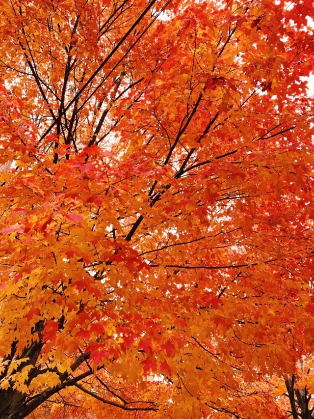 Holloween Destinations