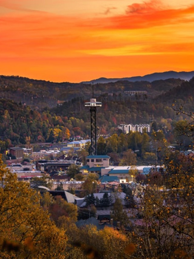 8 Must-See Resorts in Tennessee: Mountains, Cities and More