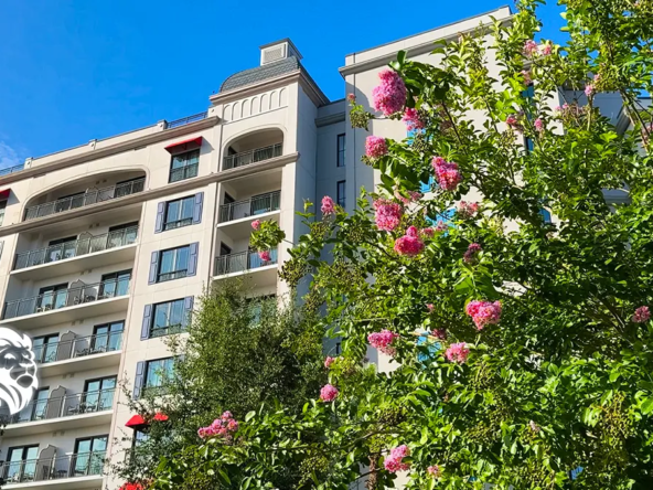 Disney Timeshares for Sale