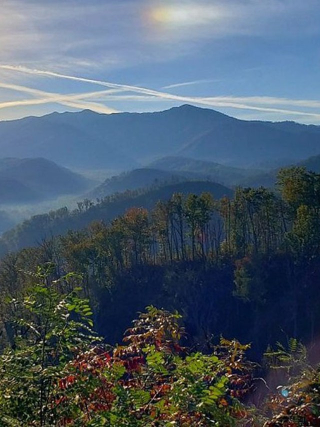 spring vacations in the us