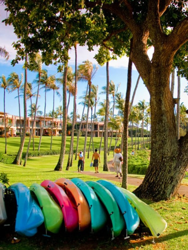 Hilton in Maui: Luxury, Adventure, and Aloha Awaits HGVC Owners