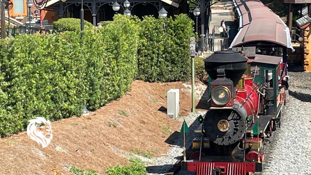 Disney Tours Featured image