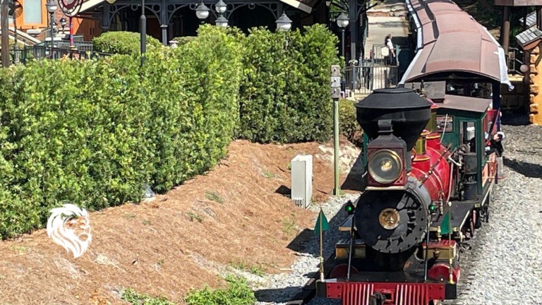 Disney Tours Featured image