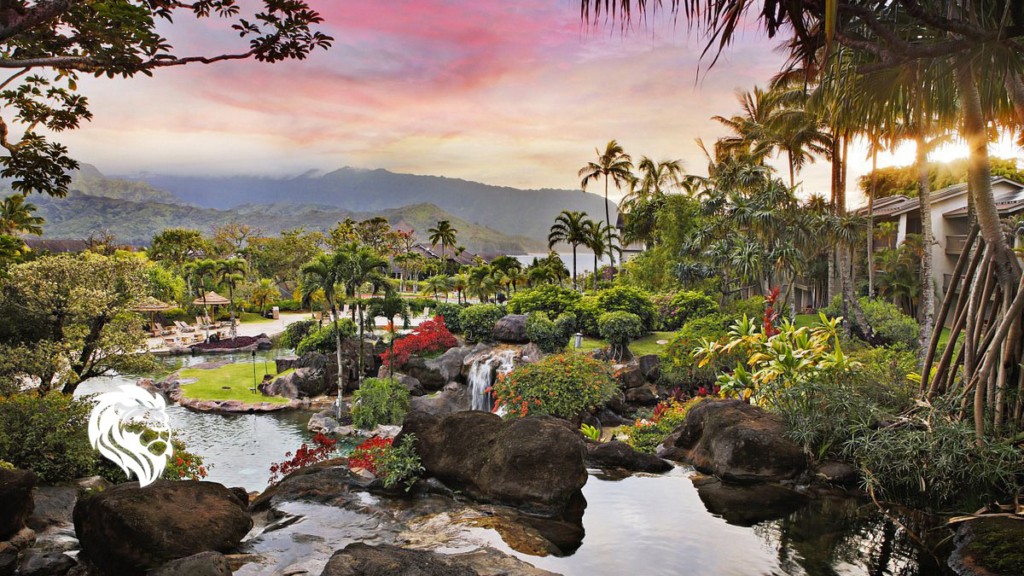 DVC World Passport Collection