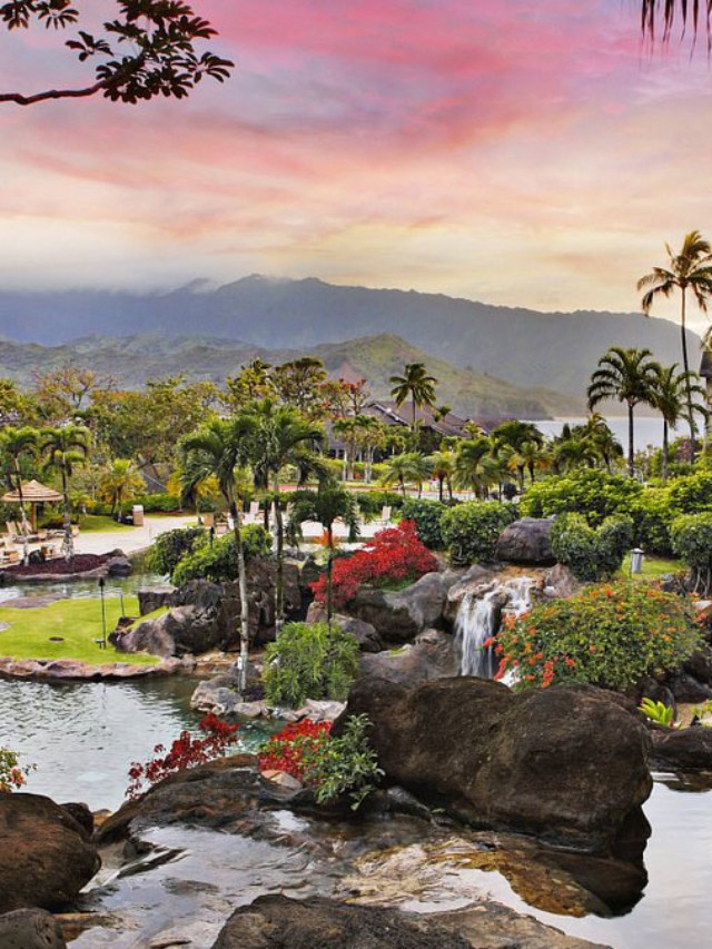 DVC World Passport Collection