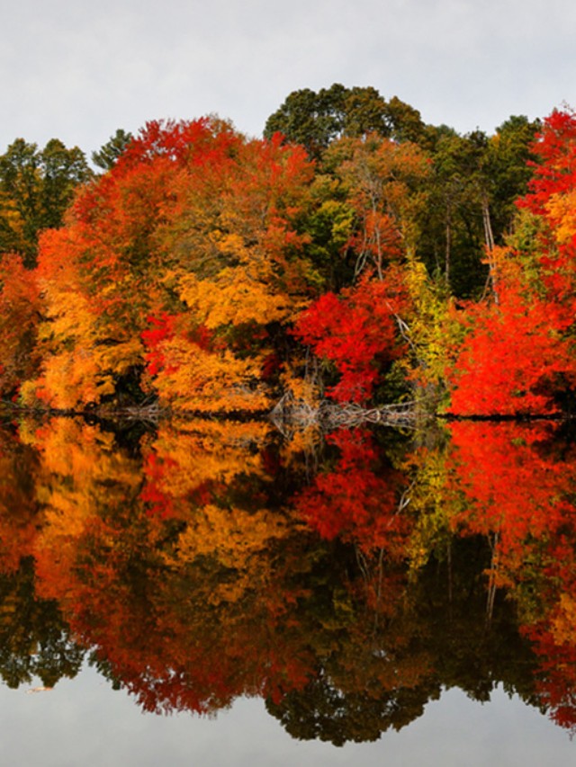 New England Autumn for fall road trip