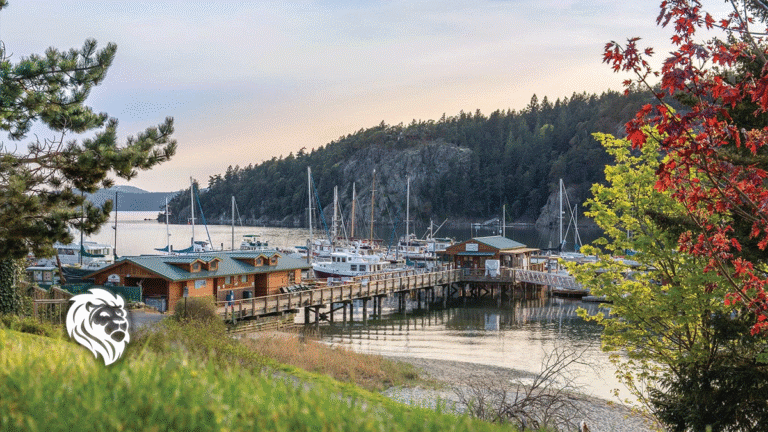 Underrated Summer Travel Ideas: San Juan Islands