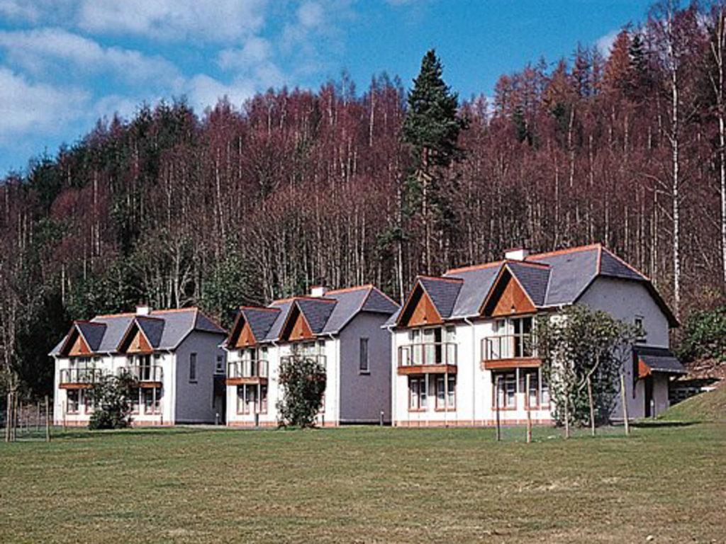 Row of charming white vacation villas at Dunkeld set against a dense forest of tall, autumn trees.