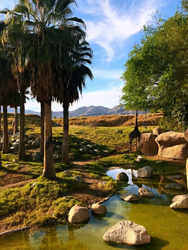 Best Winter Getaways in US