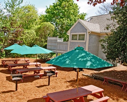 Holly Tree Resort bbq area