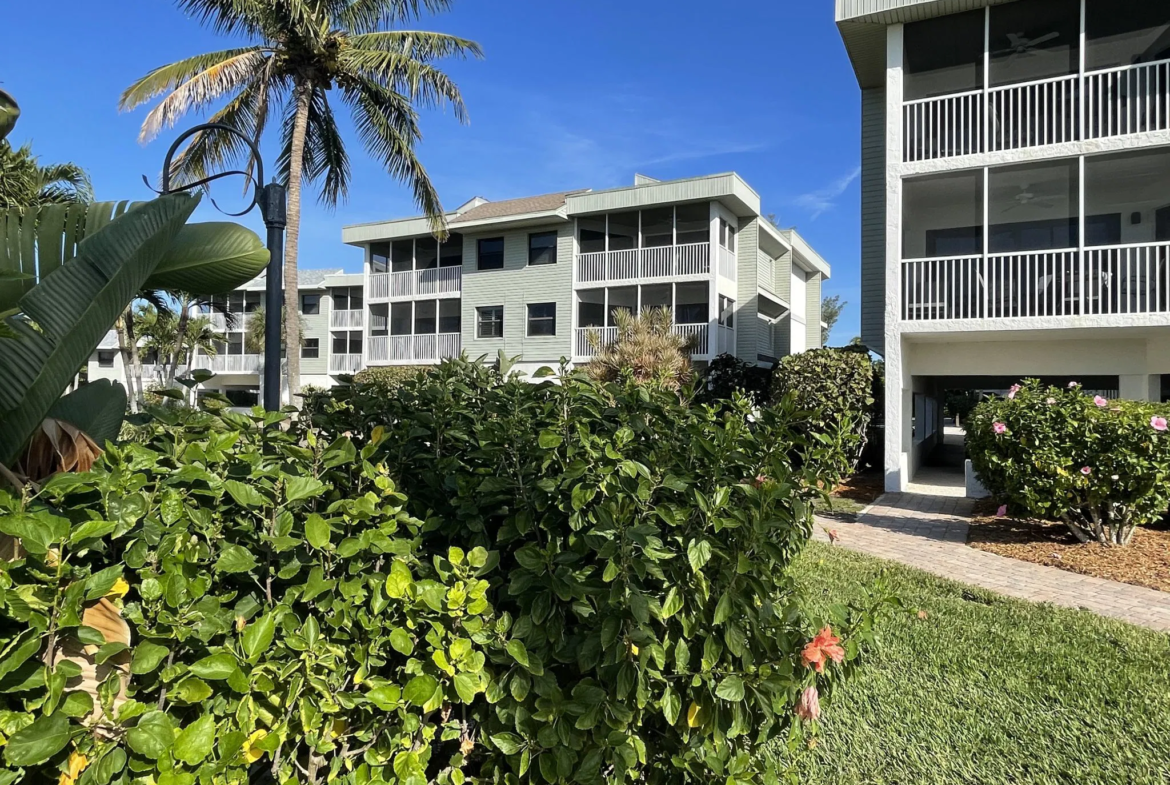 Shell Island Beach Club