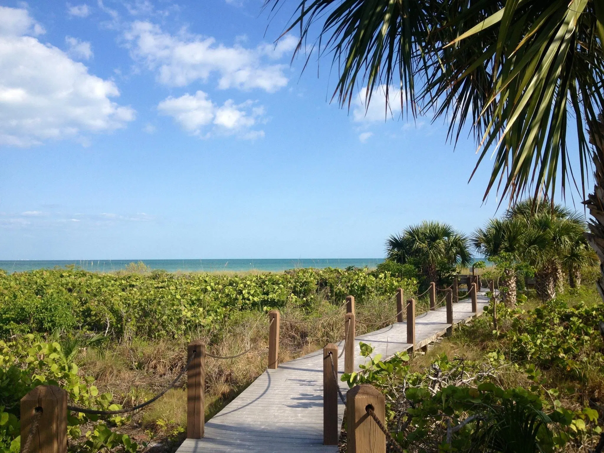 Shell Island Beach Club beach access