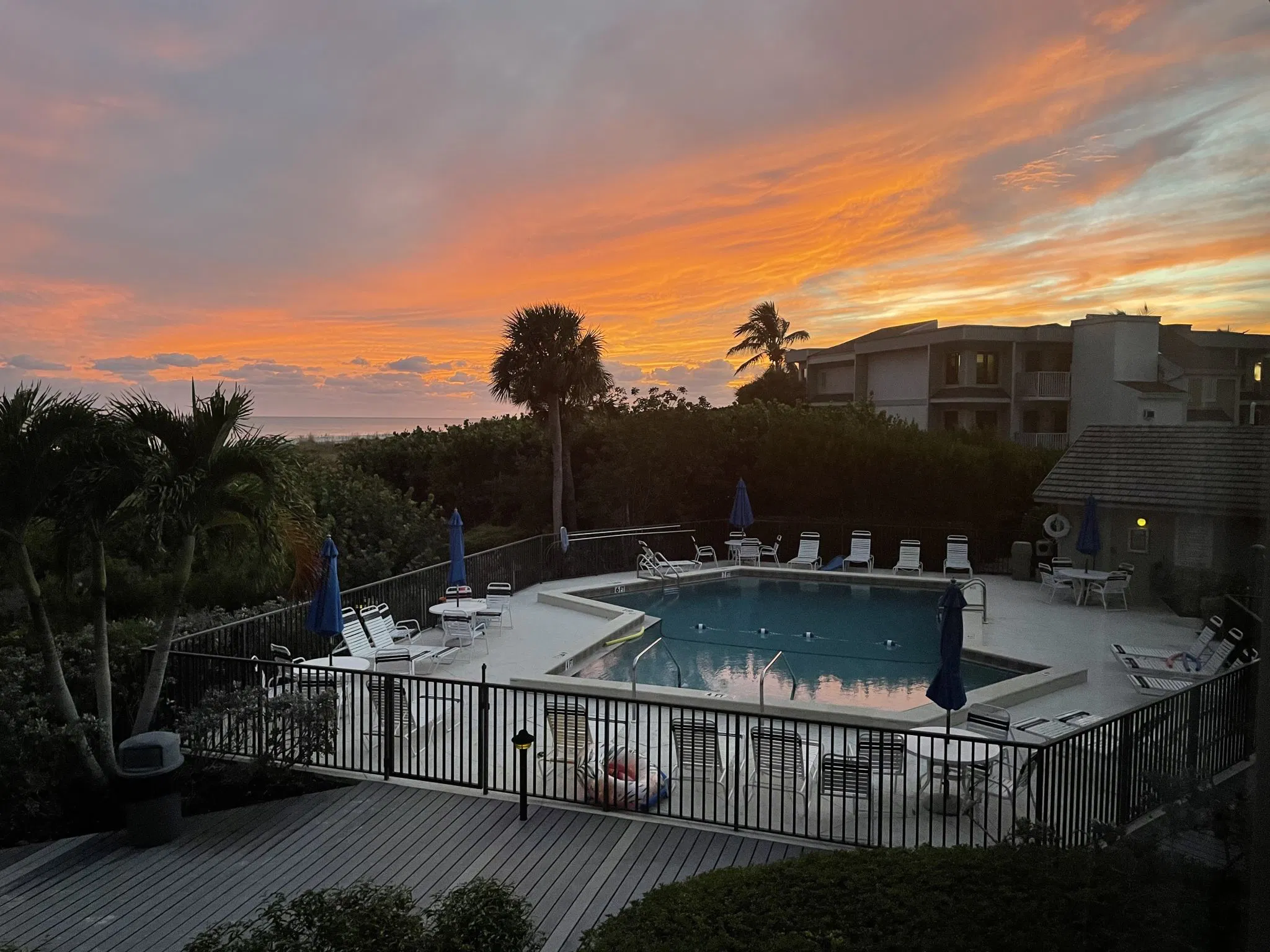 Shell Island Beach Club pool