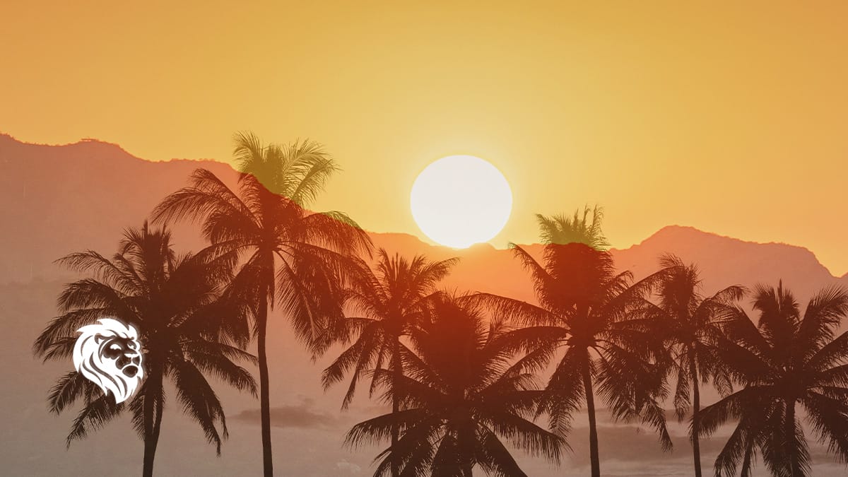 California Resort Feature