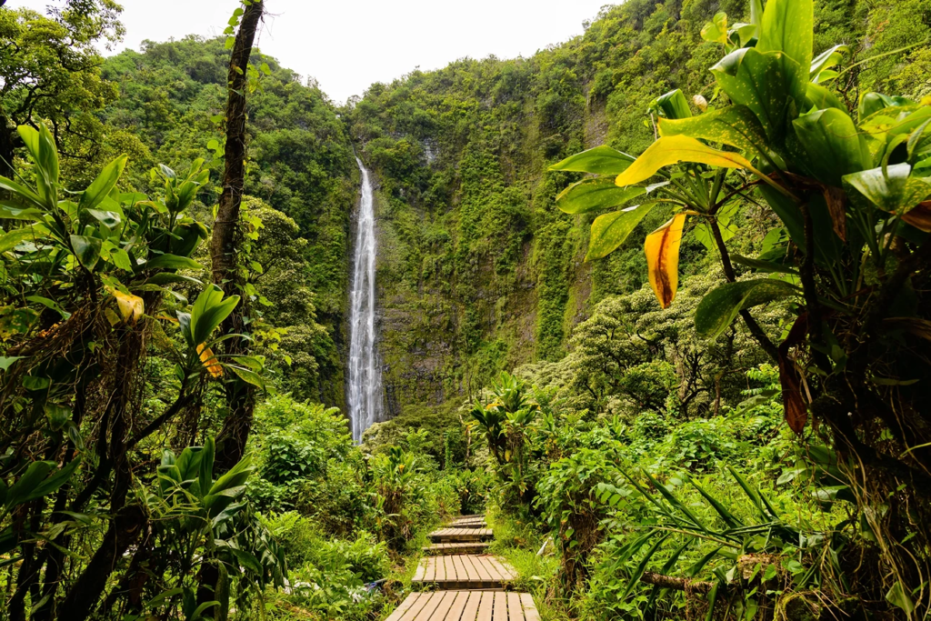 Buy Wyndham Timeshare in Hawaii