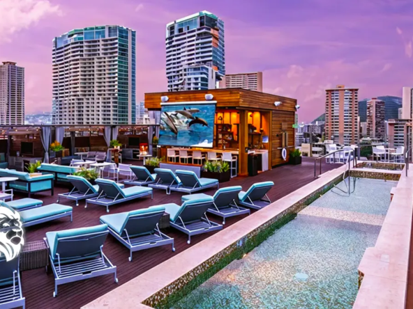 Hilton Club vs Hilton Grand Vacations- Your Complete Guide