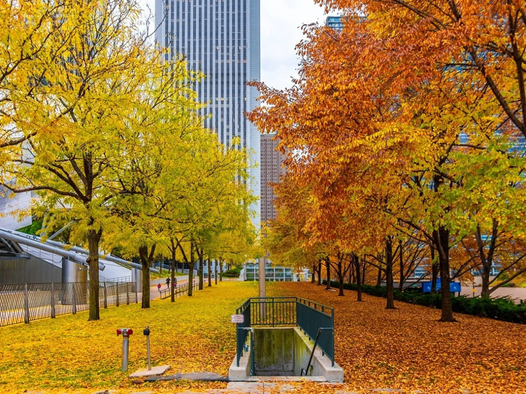 Millennium Park in Fall Colors