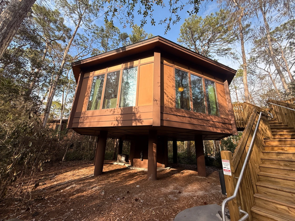 A modern wooden treehouse on stilts surrounded by trees at Saratoga Springs, with large windows and stairs leading up. Saratoga Spring DVC Resale