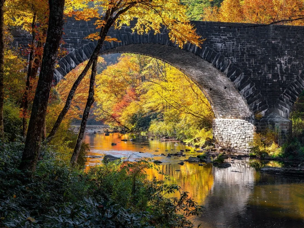 Best Time to Travel to North Carolina: Fall