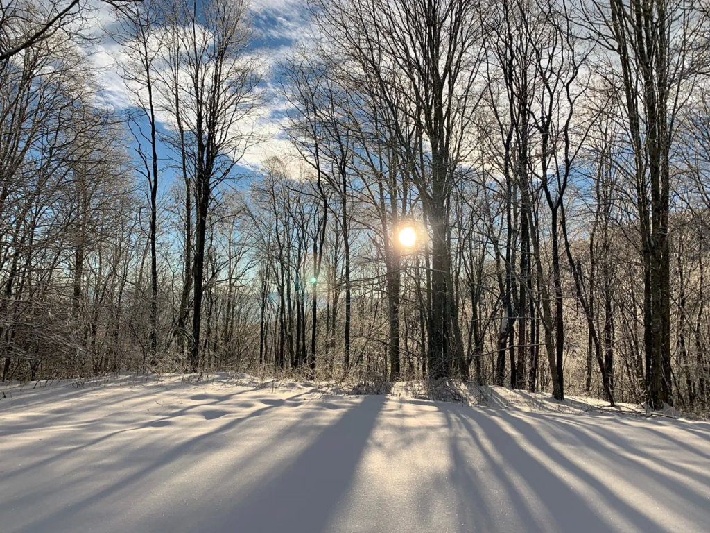 Best Time to Travel to North Carolina: Winter