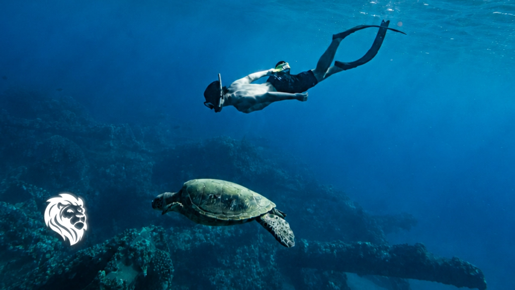 A snorkeler swims alongside a large green sea turtle in clear blue water, a highlight among the best places to snorkel in Maui.