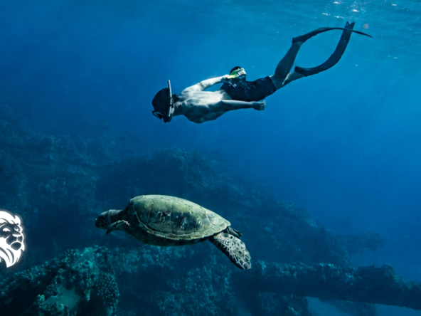 A snorkeler swims alongside a large green sea turtle in clear blue water, a highlight among the best places to snorkel in Maui.