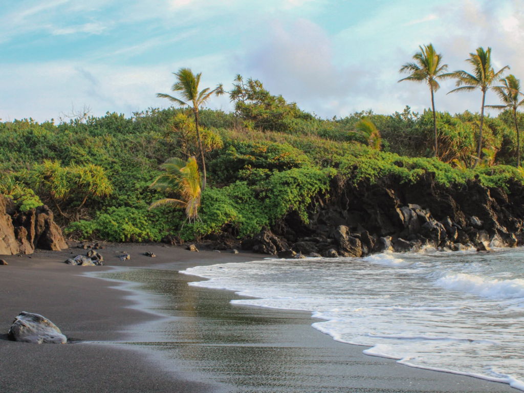A quiet Maui beach cove with swimmers in the water, palm-lined shore, and mountains in the background.