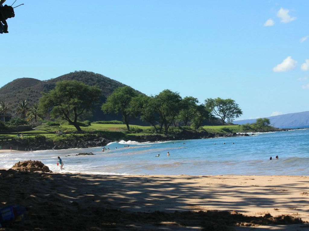 Small sandy cove at Maluaka Beach with palm trees, lava rock outcropping, and gentle breaking waves.
