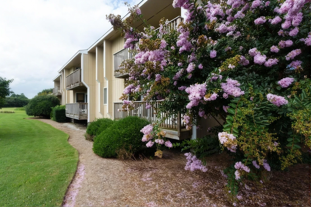 Outer Banks Resort - Sea Scape Beach and Golf Villas